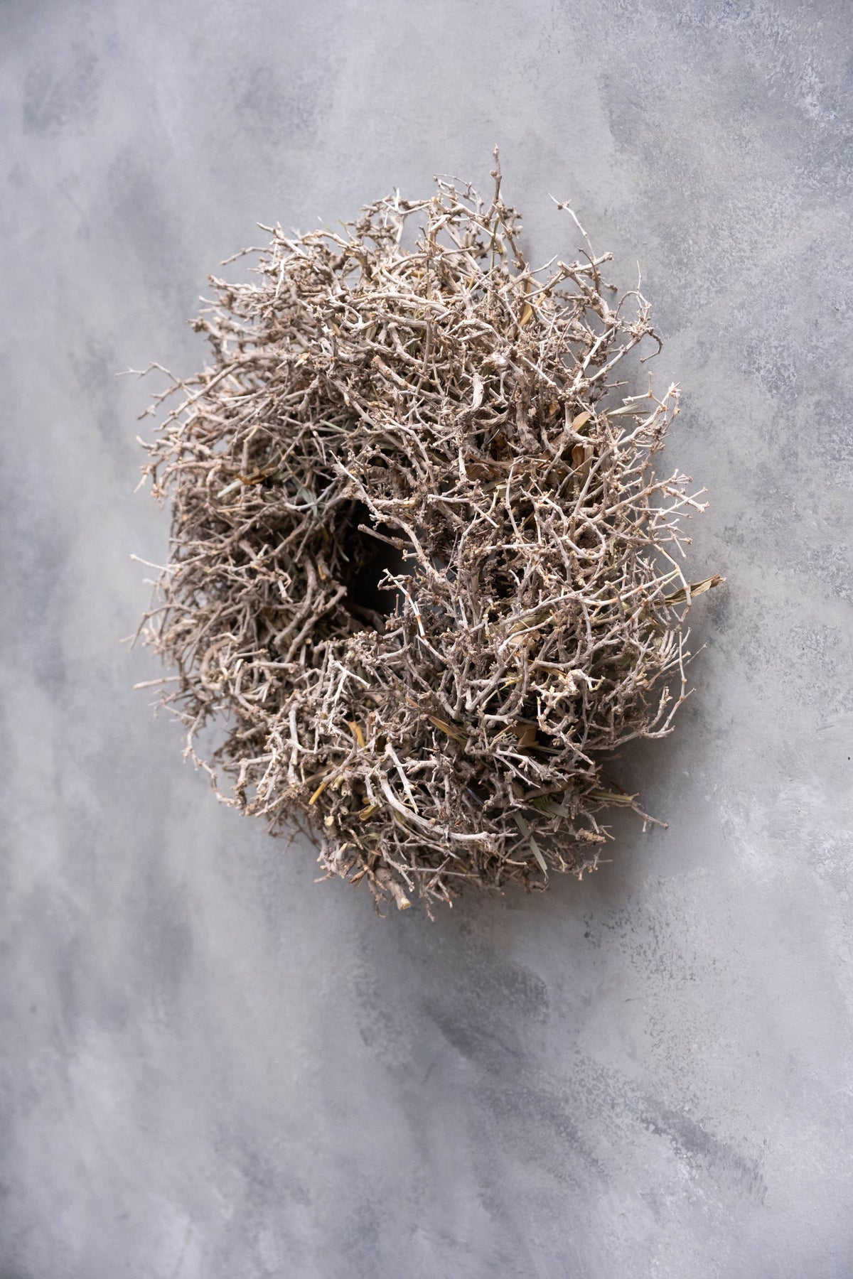 Wüstenstrauchkranz · Ø 30–60 cm · Natur · 30 cm · Ansicht 4