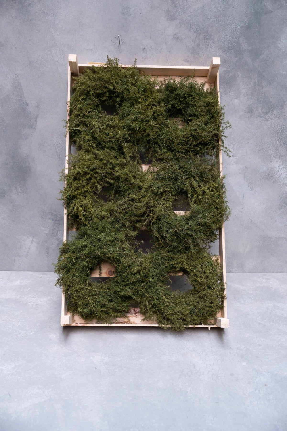 Spargelgraskranz · Ø 20–60 cm · Natur · 20 cm · Ansicht 3