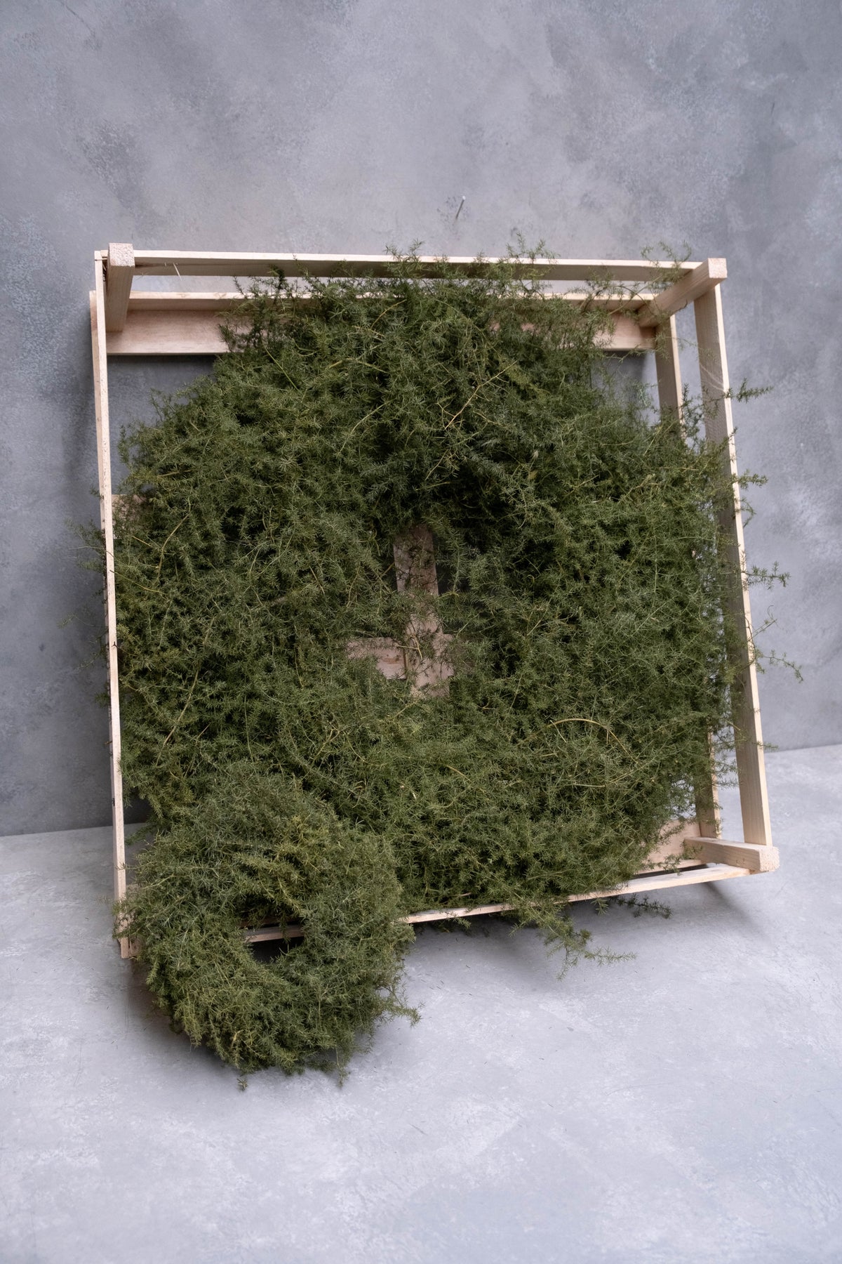 Spargelgraskranz · Ø 20–60 cm · Natur · 20 cm · Ansicht 1