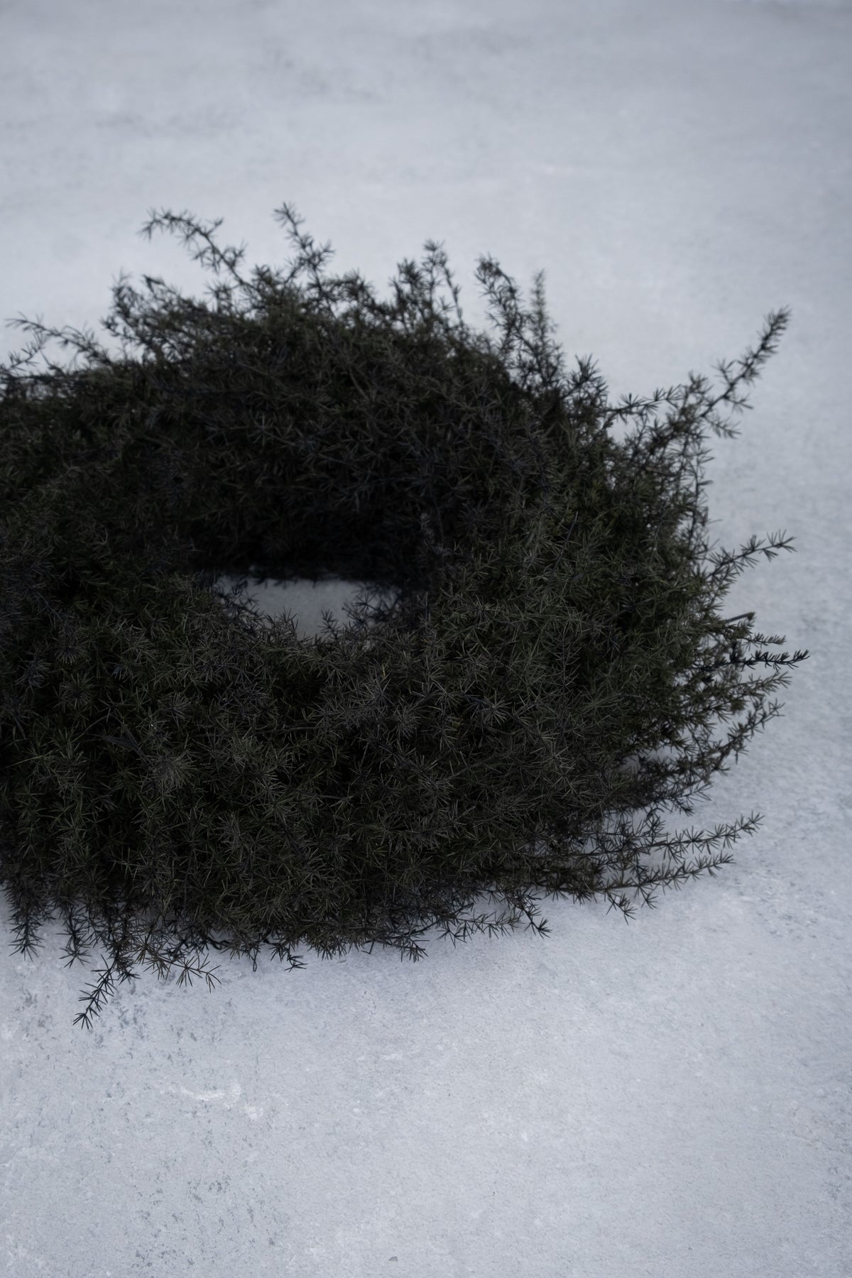Spargelgraskranz · Ø 20–60 cm · Schwarz · 28 cm · Ansicht 3