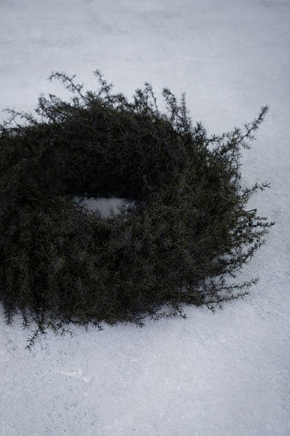 Spargelgraskranz · Ø 20–60 cm · Schwarz · 28 cm · Ansicht 3