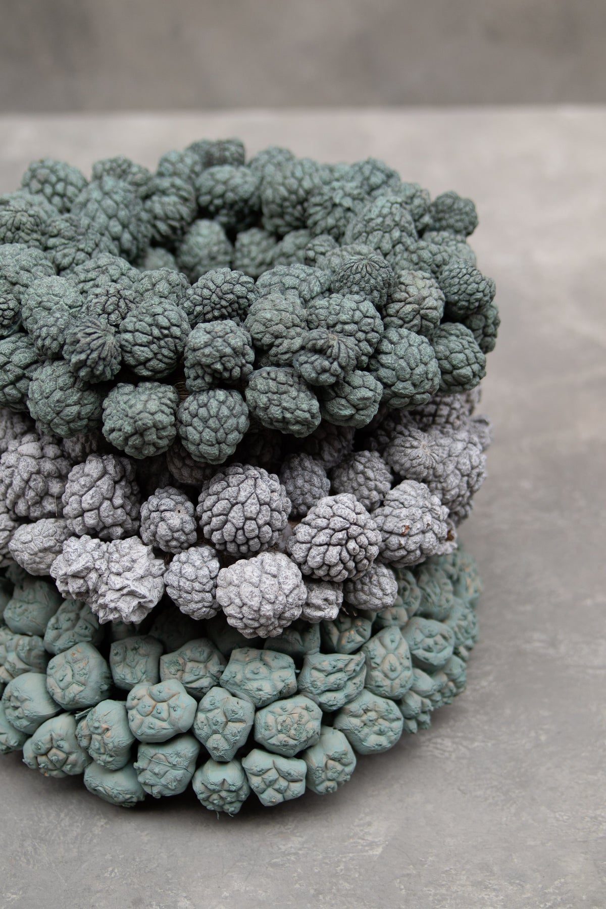 Ata-Fruchtkranz · Ø 30–45 cm · Nebelgrau · 45 cm · Ansicht 3