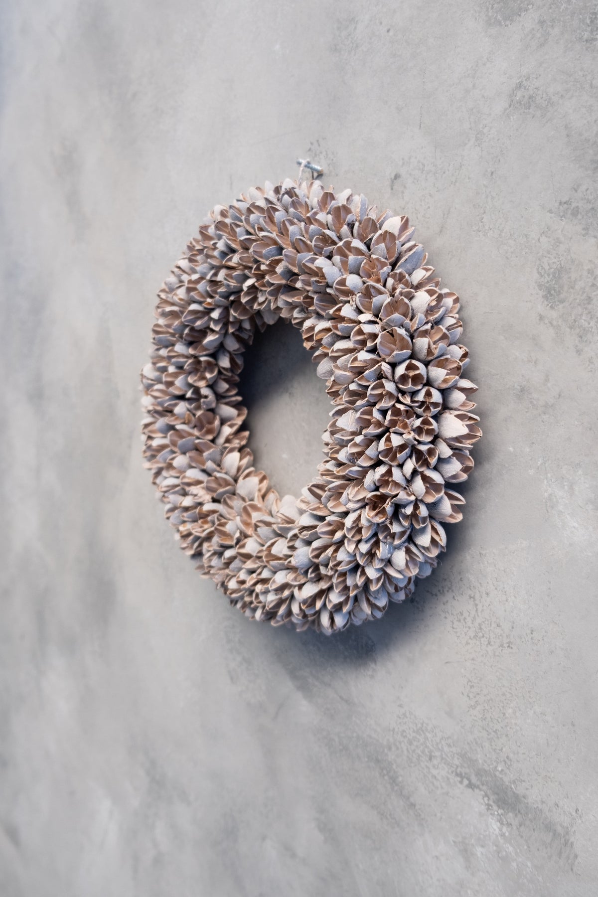 Bakulikranz · Ø 20–40 cm · Blütenrosa · 20 cm · Ansicht 4