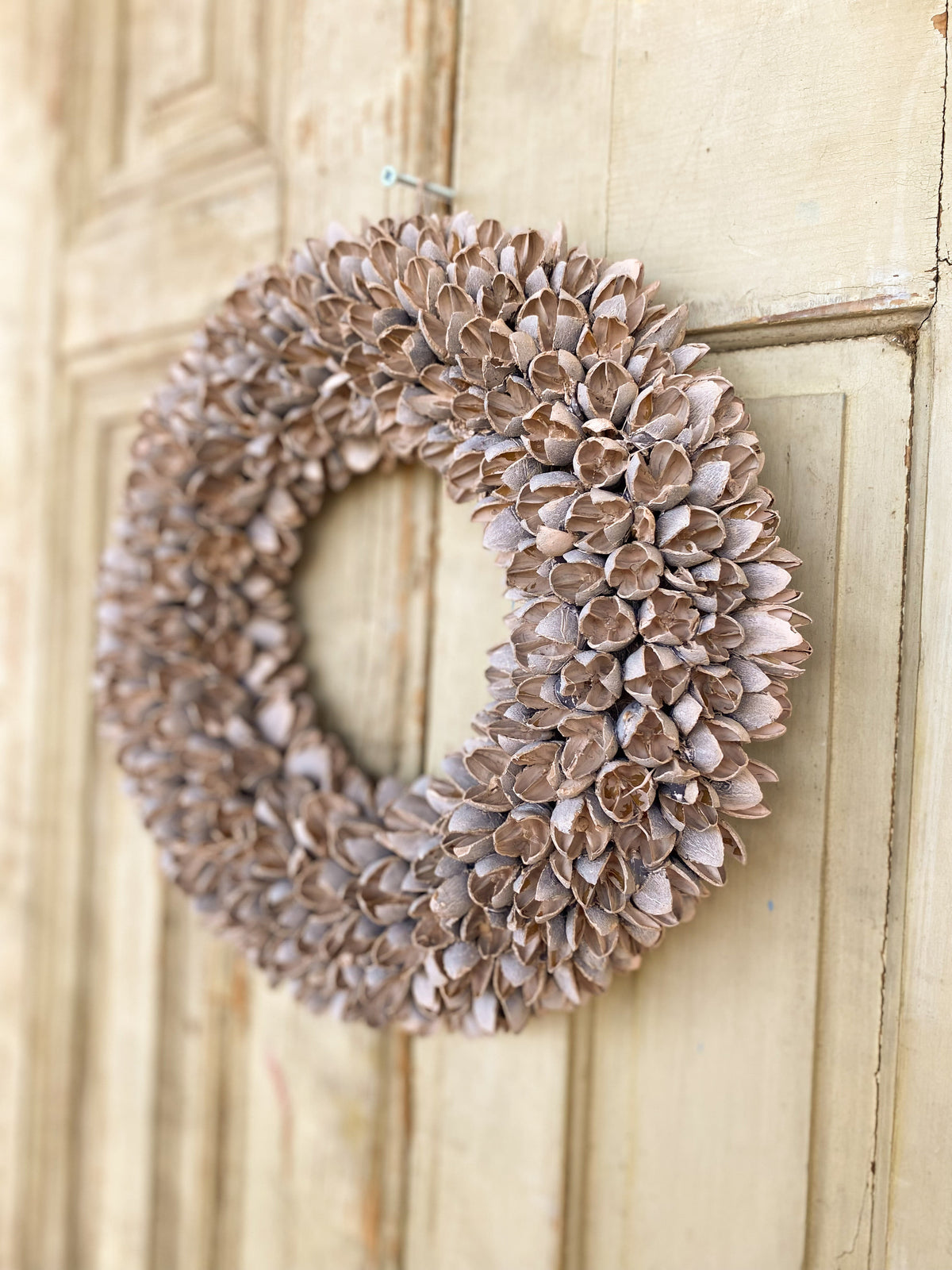 Bakulikranz · Ø 20–40 cm · Blütenrosa · 20 cm · Ansicht 1