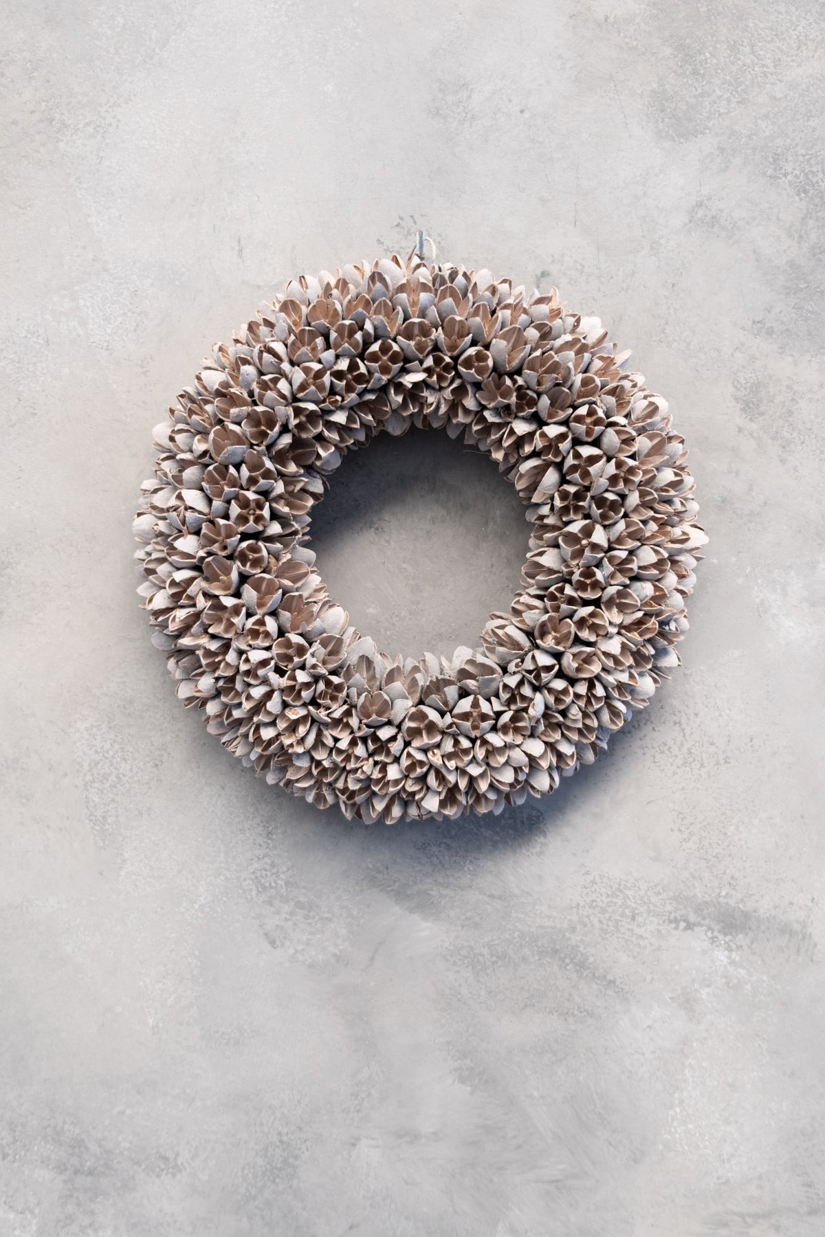 Bakulikranz · Ø 20–40 cm · Blütenrosa · 20 cm · Ansicht 3