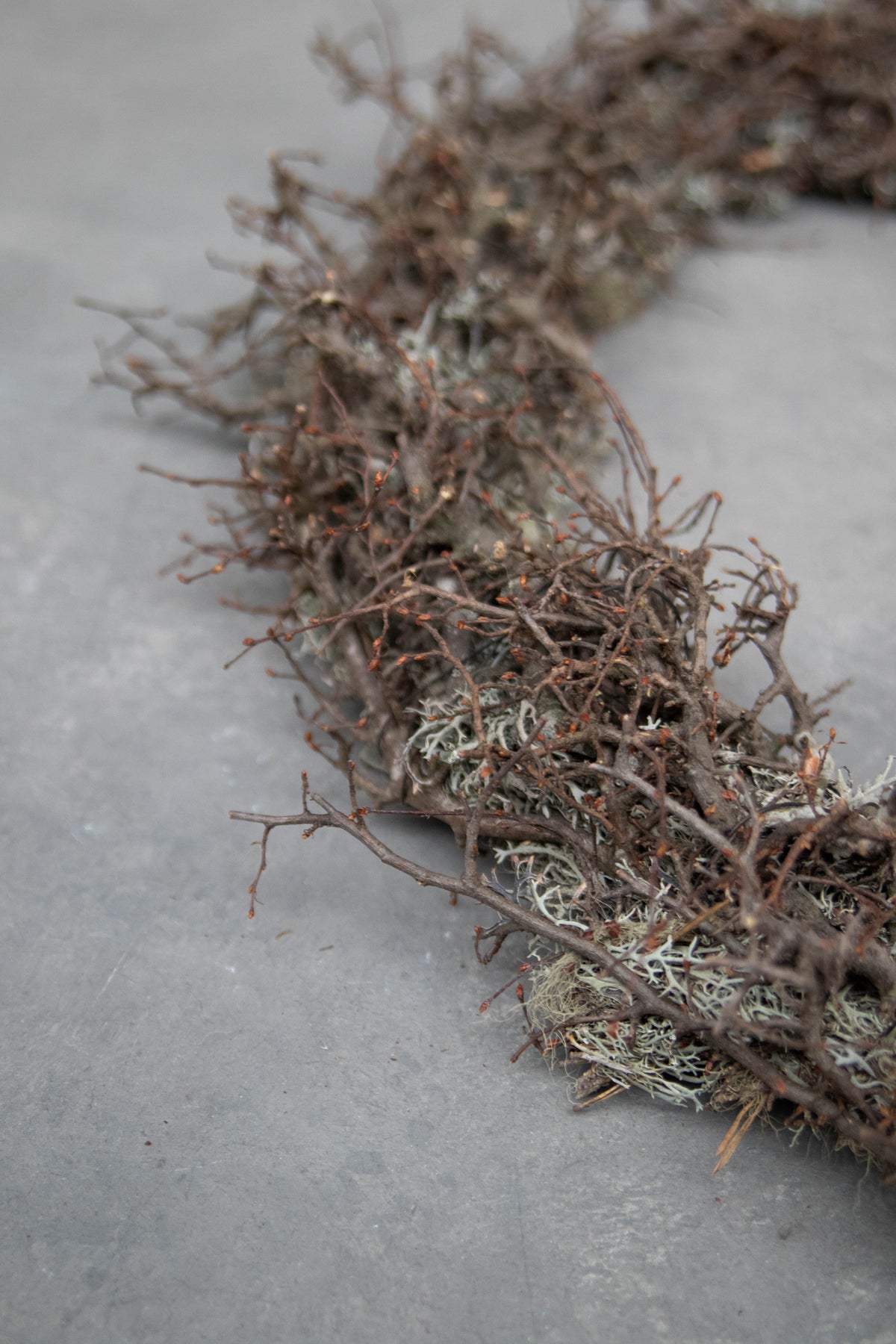 Schmaler Bonsai-Mooskranz · Grau · Ø 30–50 cm · Naturgrau · 30 cm · Ansicht 3