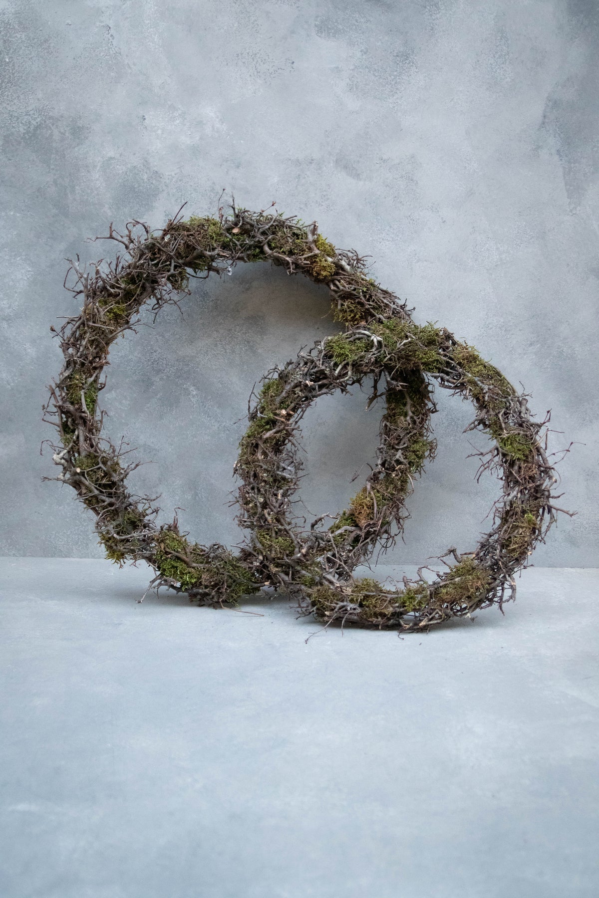 Schmaler Bonsai-Mooskranz · Ø 30–50 cm · Natur · 50 cm · Ansicht 1