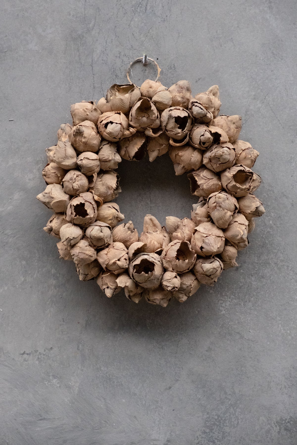 Schmaler Kokosfruchtkranz · Ø 20–55 cm · Latte · 20 cm · Ansicht 2