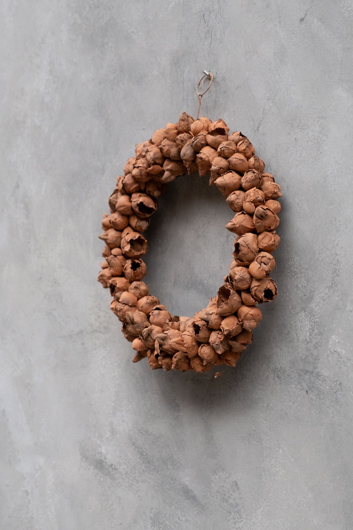 Schmaler Kokosfruchtkranz · Ø 20–55 cm · Terrakotta · 20 cm · Ansicht 3