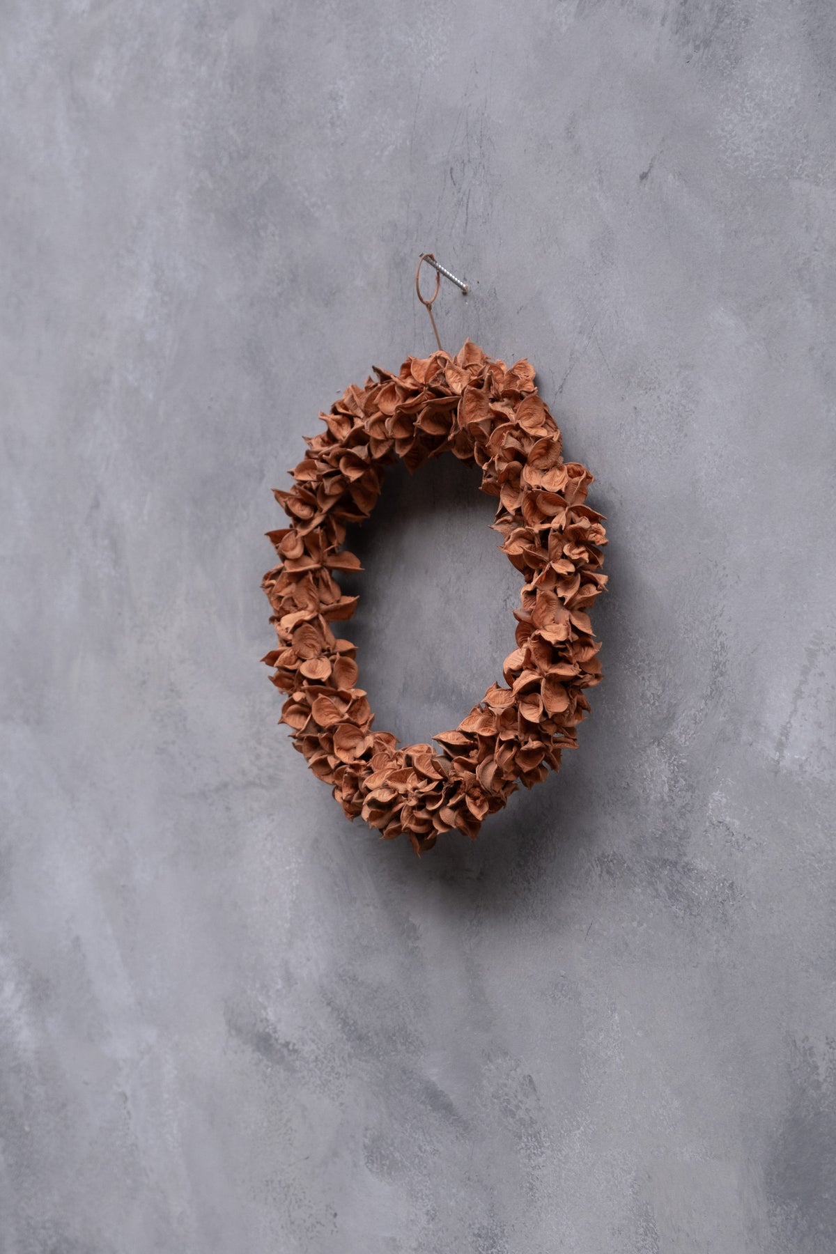 Schmaler Baumwollkapselkranz · Ø 20–30 cm · Terrakotta · 20 cm · Ansicht 3