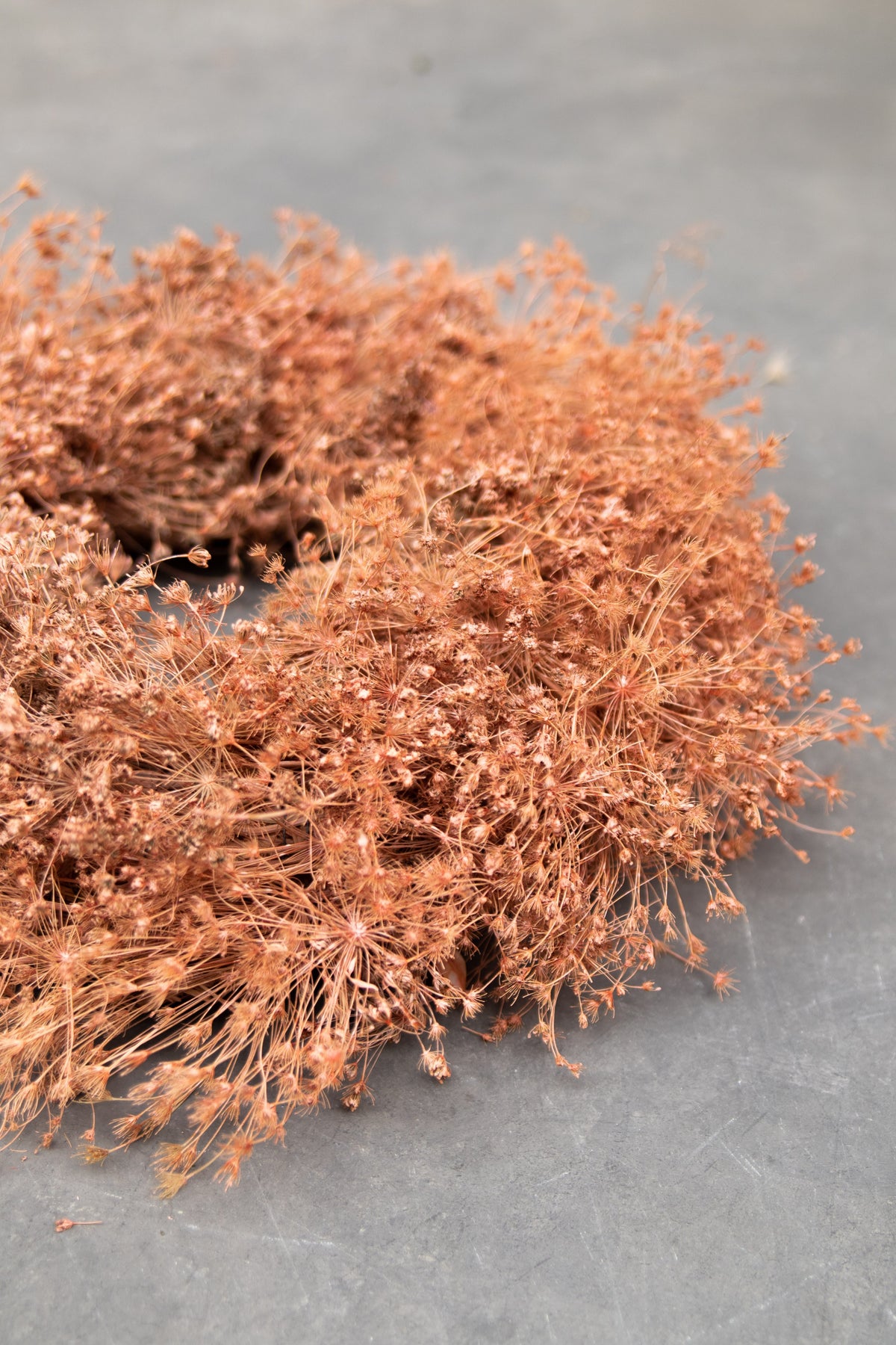 Dillkranz · Ø 30–40 cm · Apricot · 30 cm · Ansicht 2