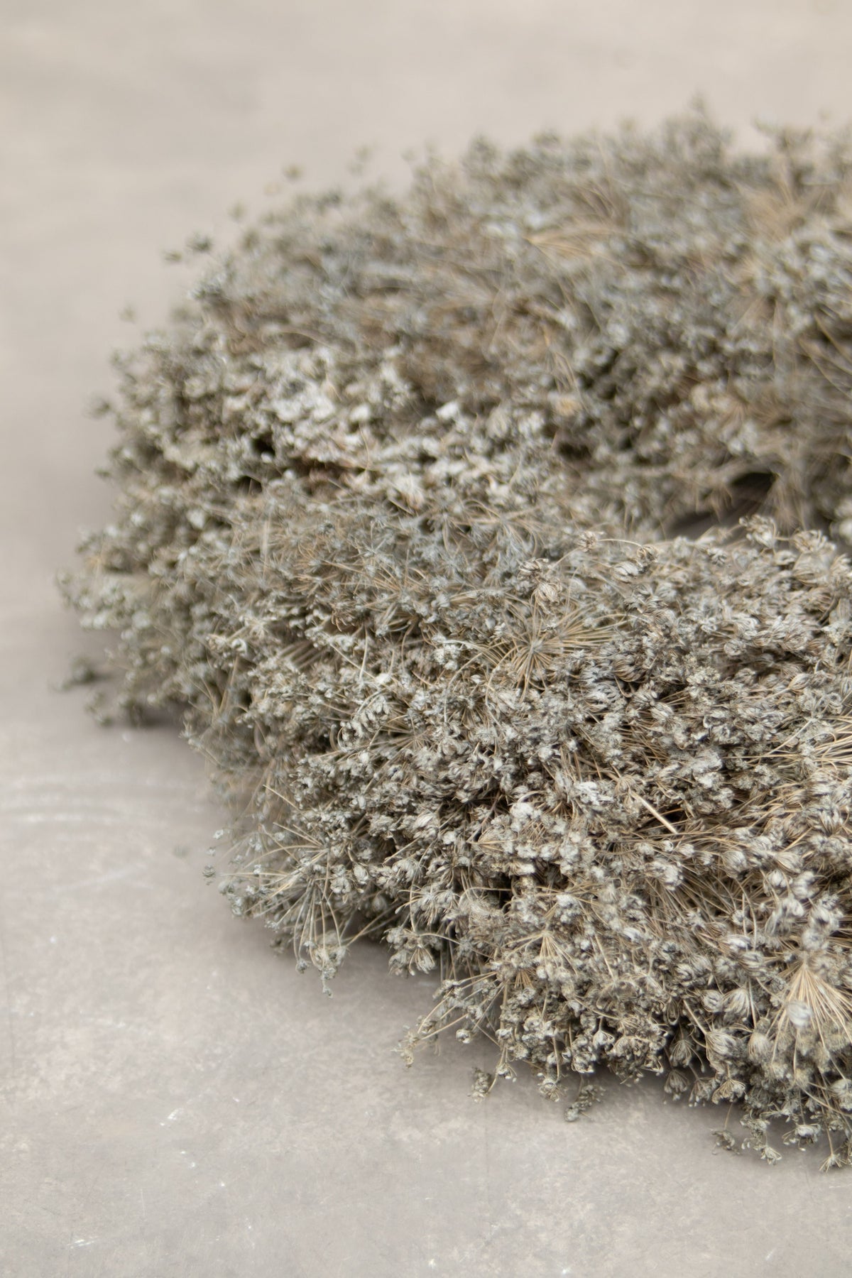 Dillkranz · Ø 30–40 cm · Hellgrau · 40 cm · Ansicht 3