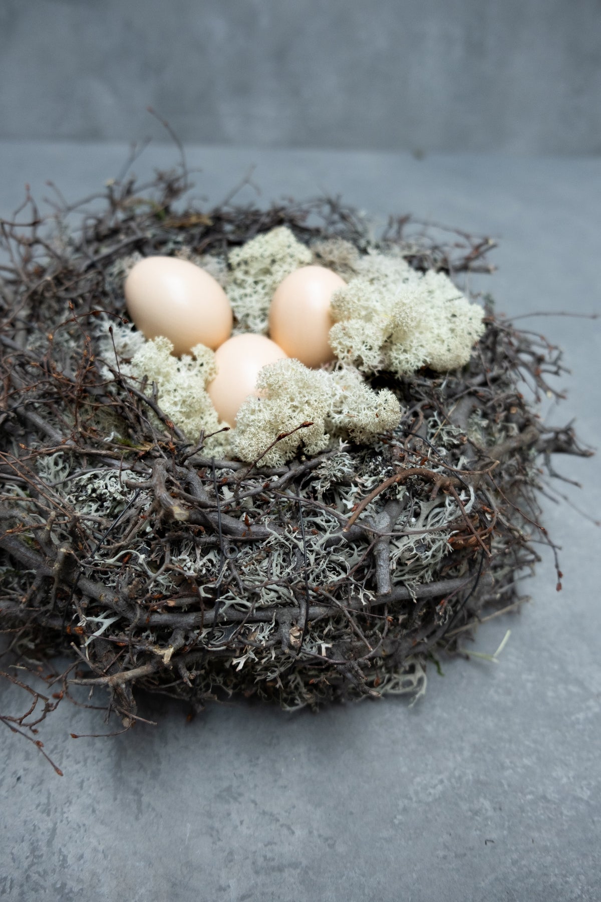 Grauer Moosnestkranz mit Bonsai · Ø 30–40 cm · Natur · 30 cm · Ansicht 2