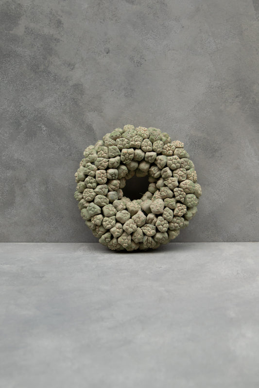 Kiya-Fruchtkranz · Ø 30–55 cm · Salbeigrün · 30 cm · Ansicht 1