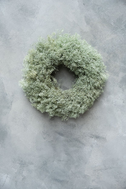 Lepidiumkranz · Ø 30–35 cm · Hellgrün · 35 cm · Ansicht 1