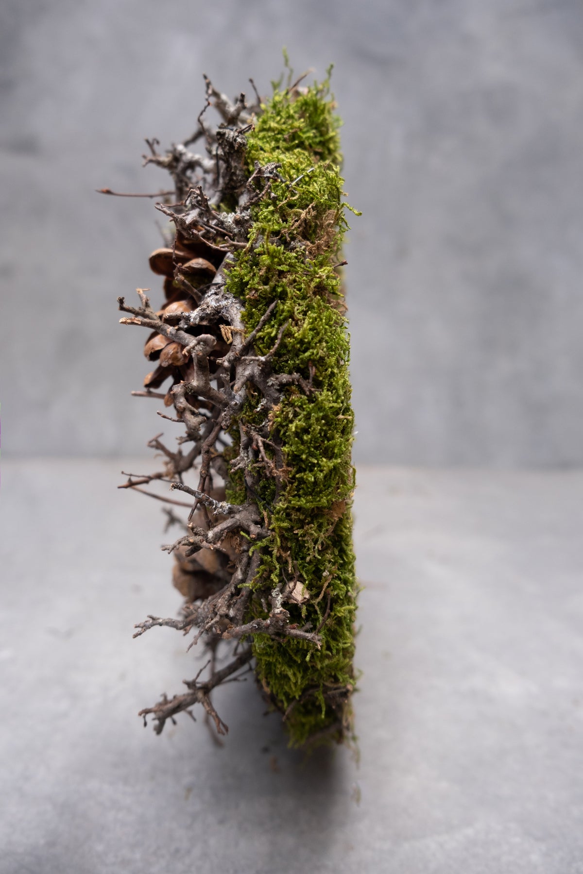 Mooskranz mit Bonsai und Weymouthskiefer · Ø 30–38 cm · Natur · 30 cm · Ansicht 4