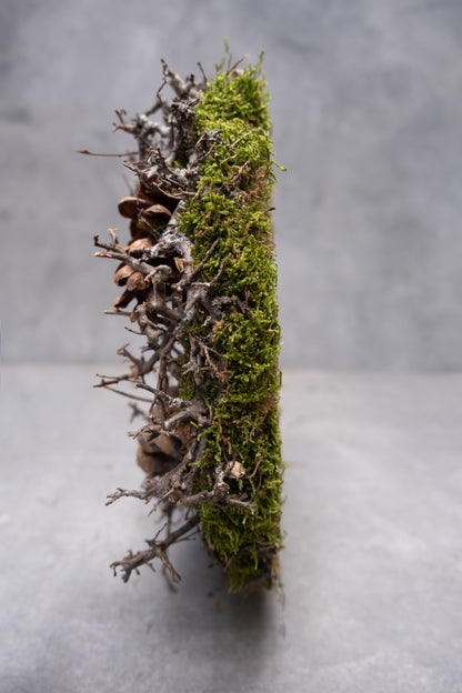 Mooskranz mit Bonsai und Weymouthskiefer · Ø 30–38 cm · Natur · 30 cm · Ansicht 4