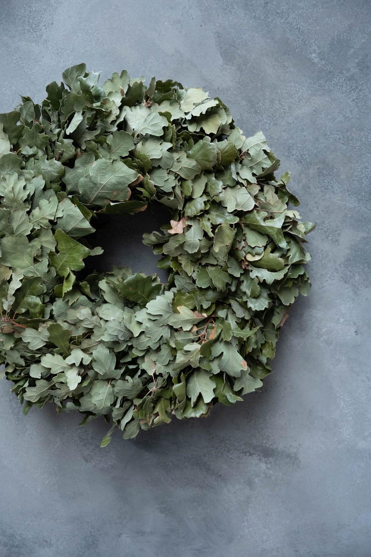 Eichenblattkranz · Kräftige Ausführung · Ø 35–45 cm · Natur · 35 cm · Ansicht 3