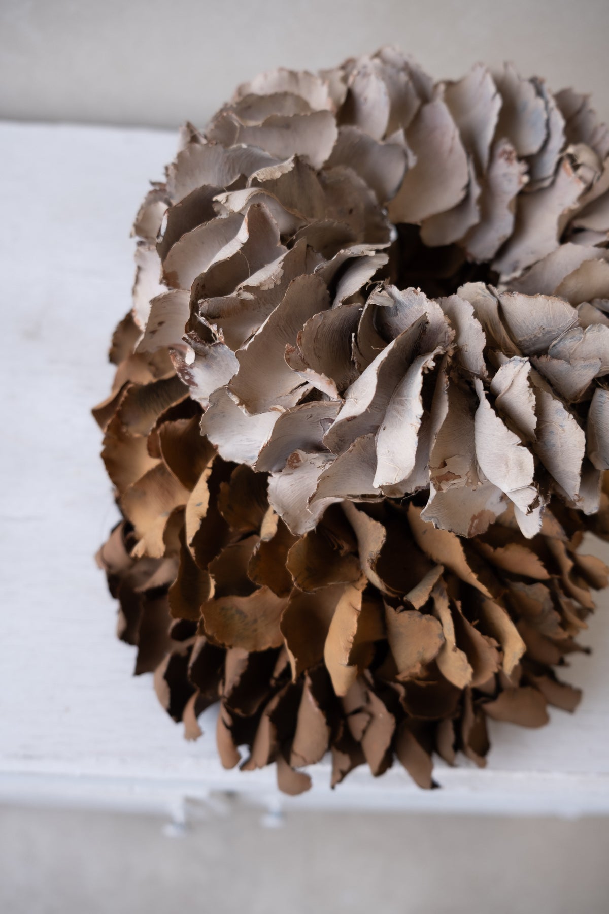 Palmblattkranz · Ø 25–100 cm · Kaffeecreme · 40 cm · Ansicht 4