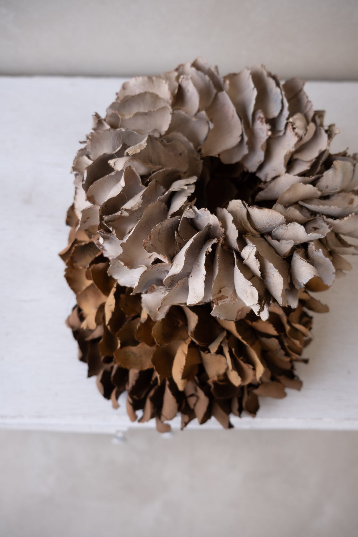 Palmblattkranz · Ø 25–100 cm · Savanna · 40 cm · Ansicht 4