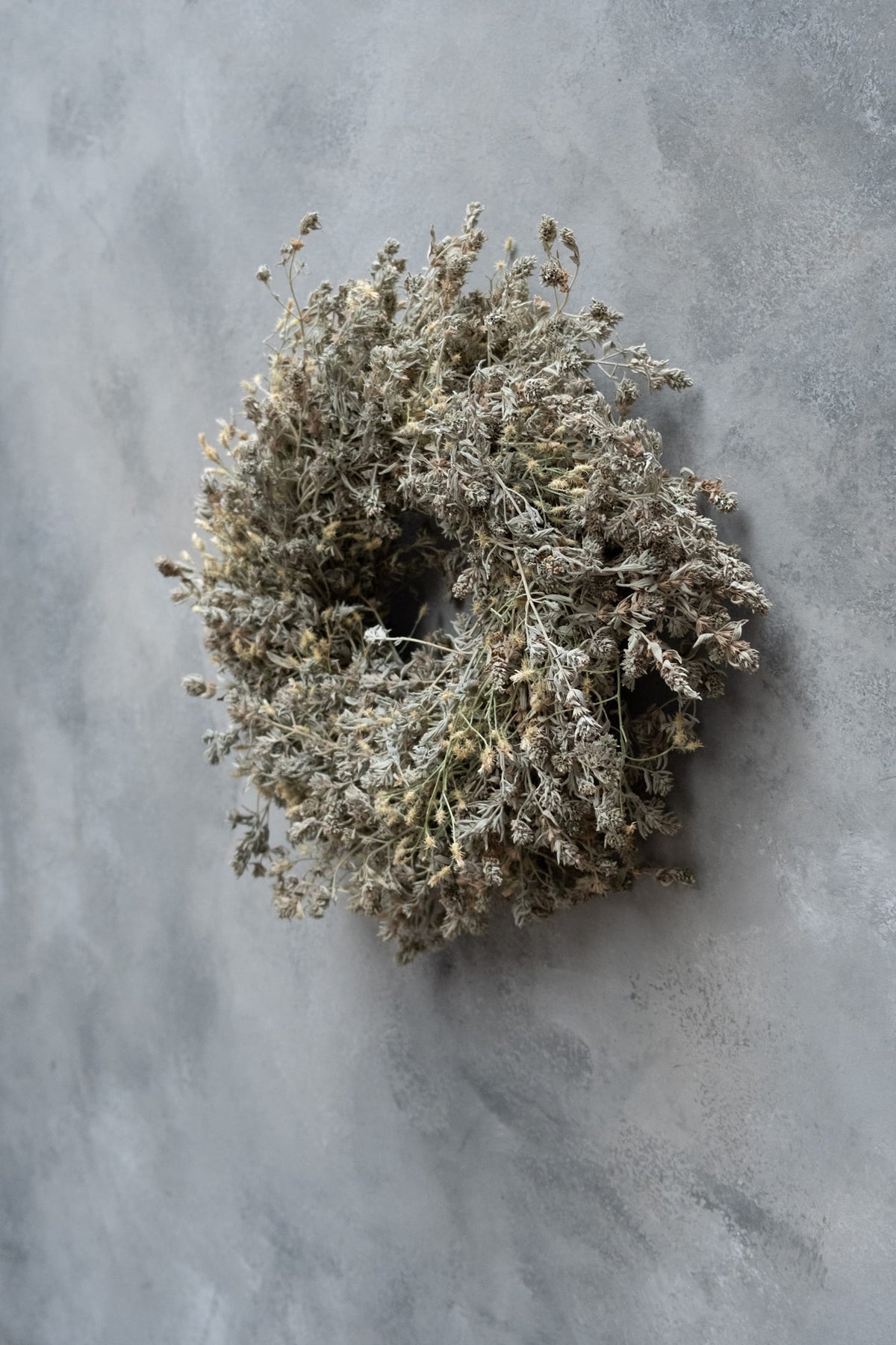 Wild lavender-thistle wreath · Natural